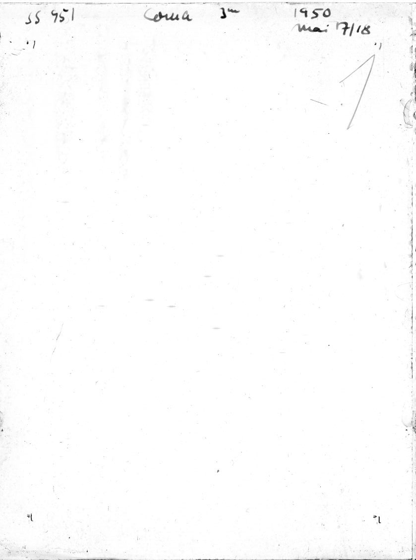 Scan SS00951