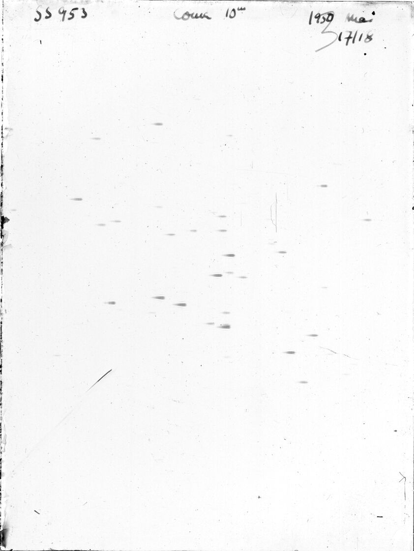 Scan SS00953