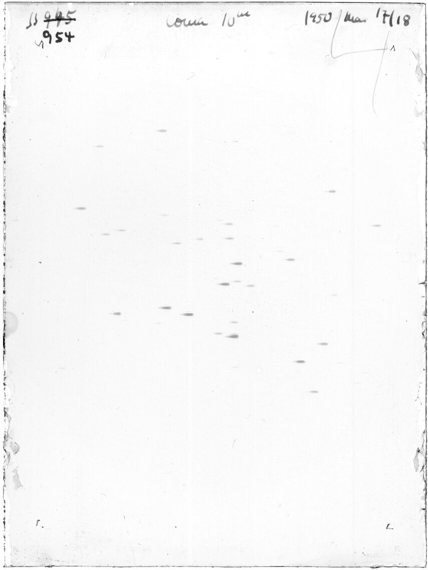 Scan SS00954