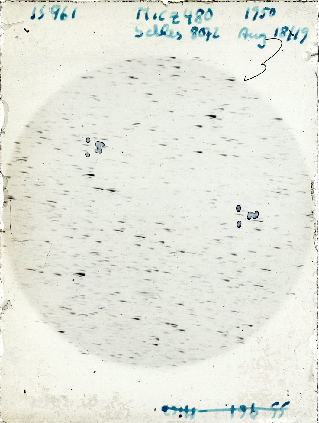 Scan SS00961