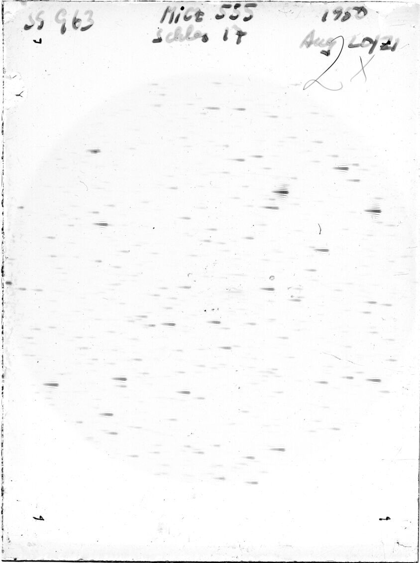 Scan SS00963
