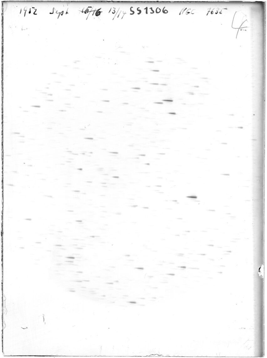Scan SS01306