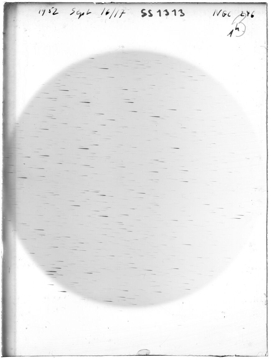 Scan SS01313