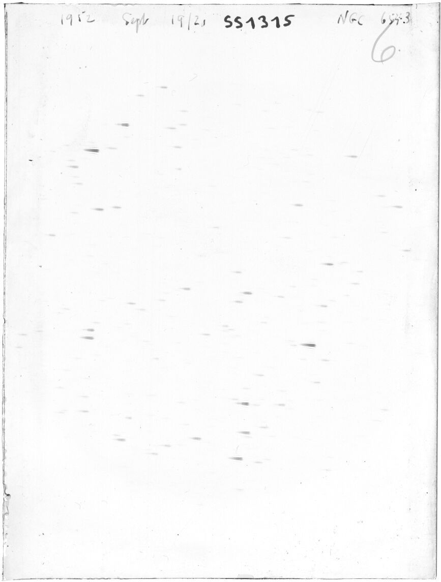 Scan SS01315