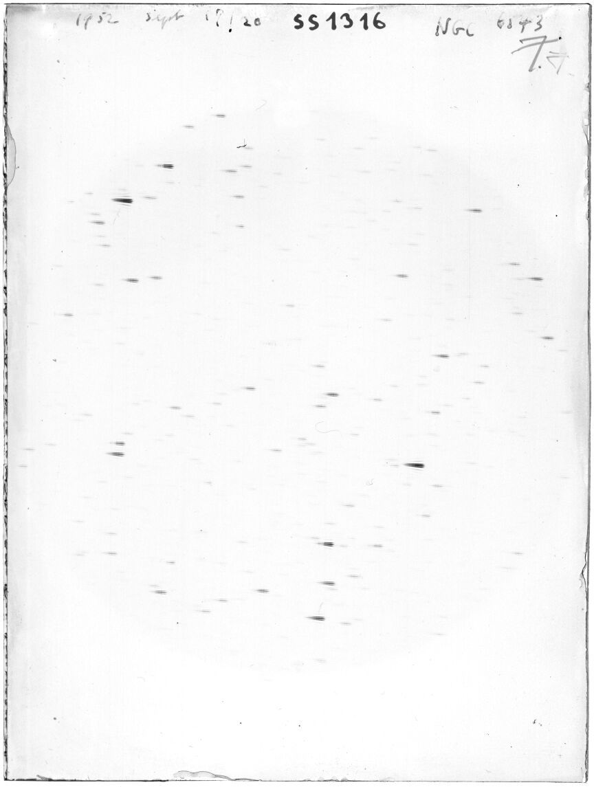 Scan SS01316
