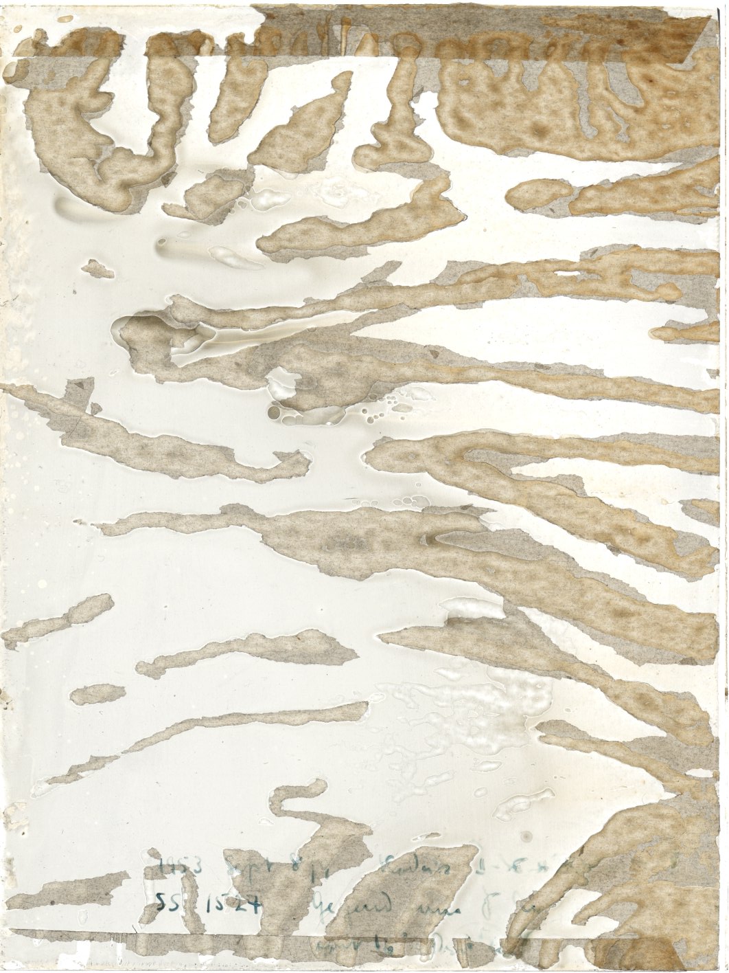 Scan SS01527