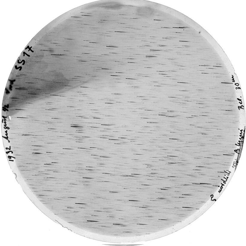 Scan SS00017