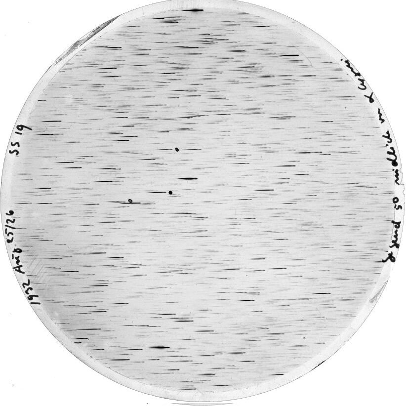 Scan SS00019