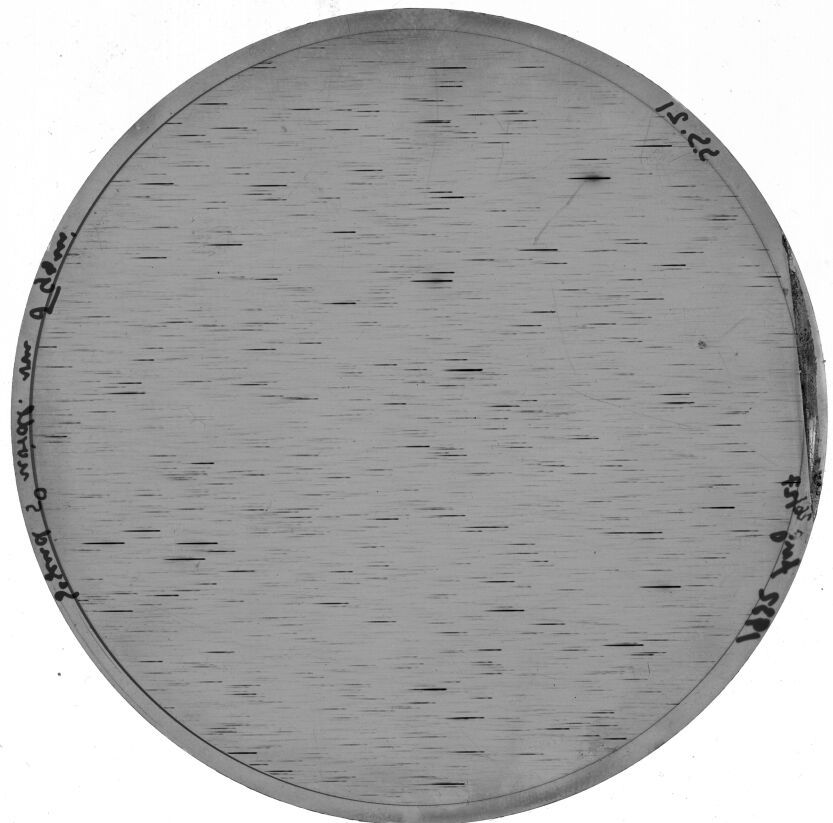Scan SS00021