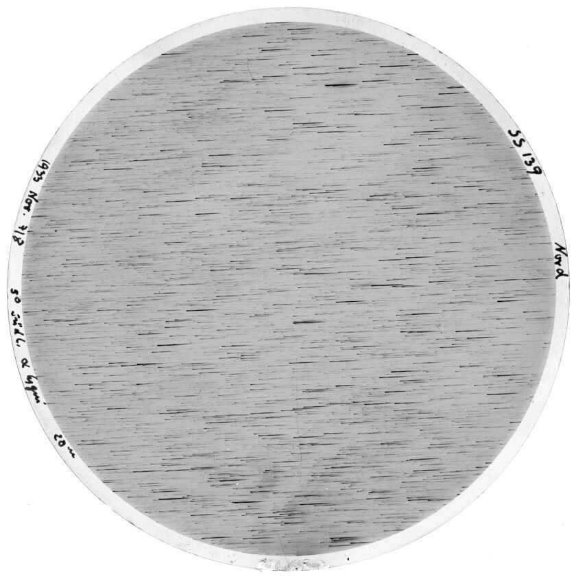 Scan SS00139