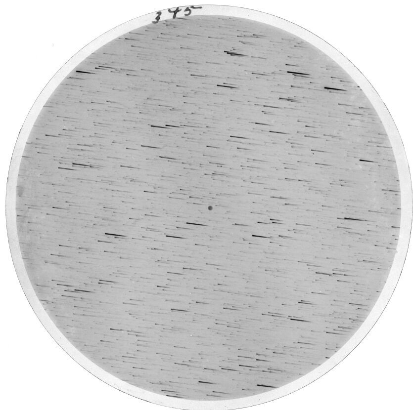 Scan SS00345