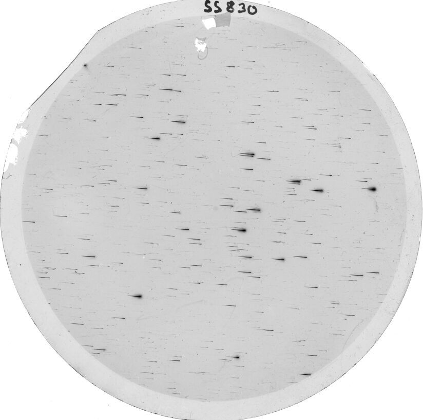 Scan SS00830