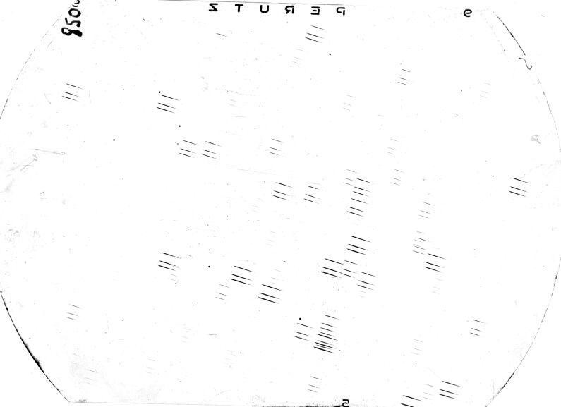 Scan SS00850
