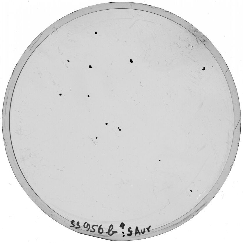 Scan SS00956b