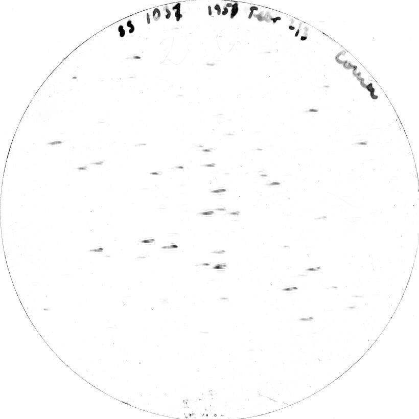 Scan SS01031