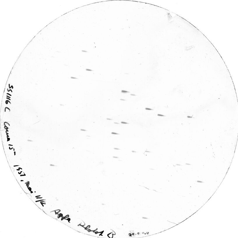 Scan SS01116c