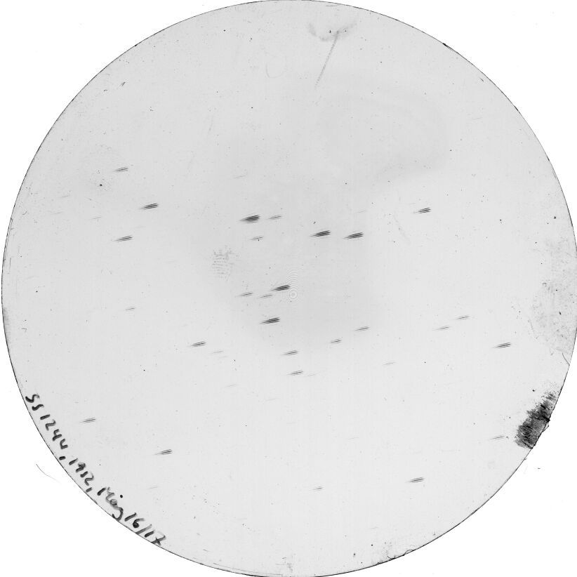 Scan SS01244