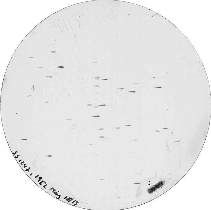 Scan SS01247
