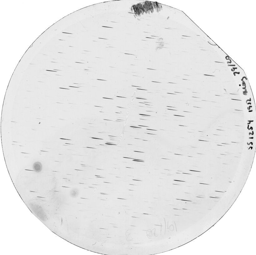 Scan SS01254