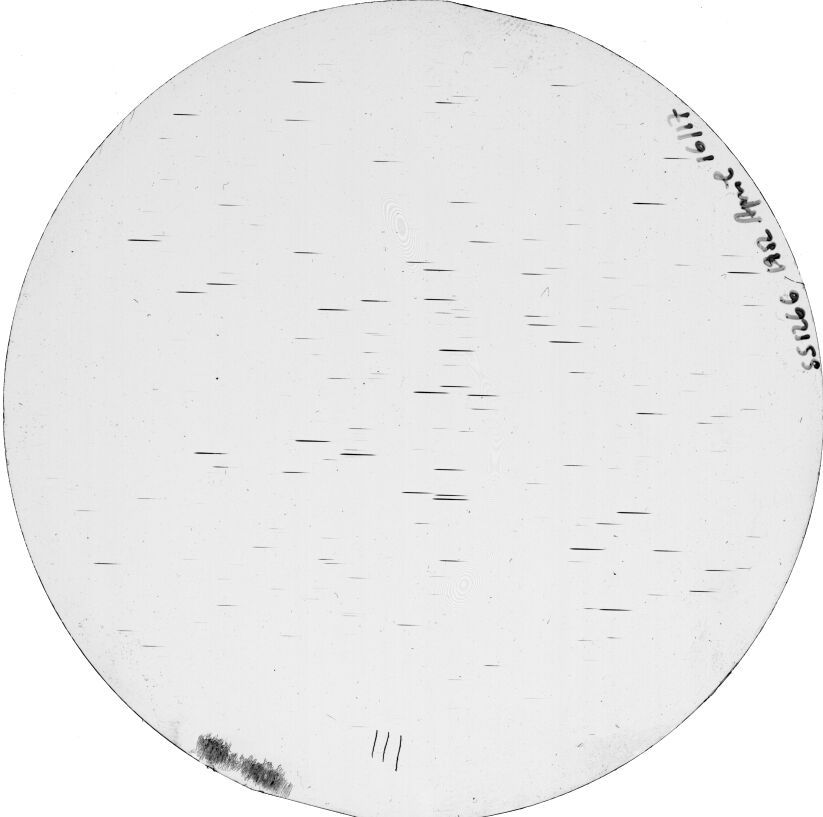 Scan SS01266