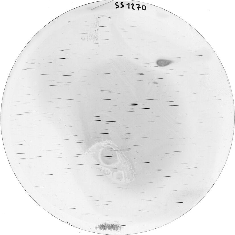 Scan SS01270