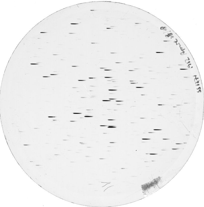 Scan SS01271