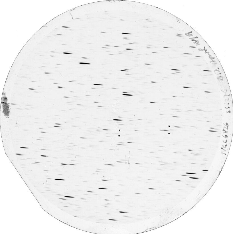 Scan SS01276