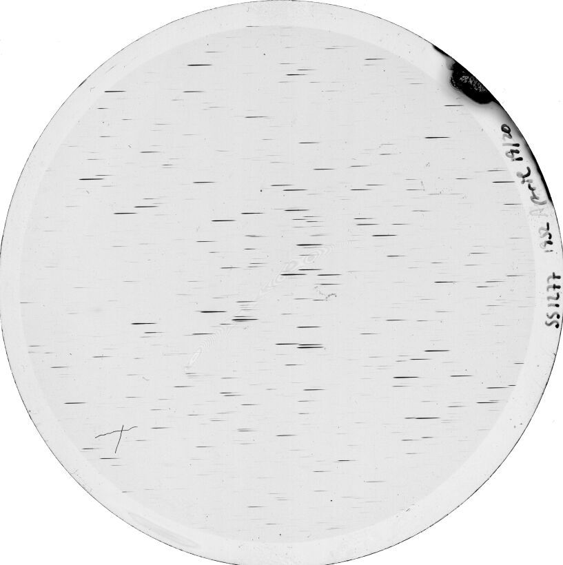 Scan SS01277