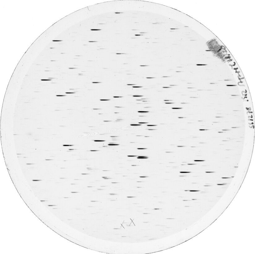 Scan SS01278