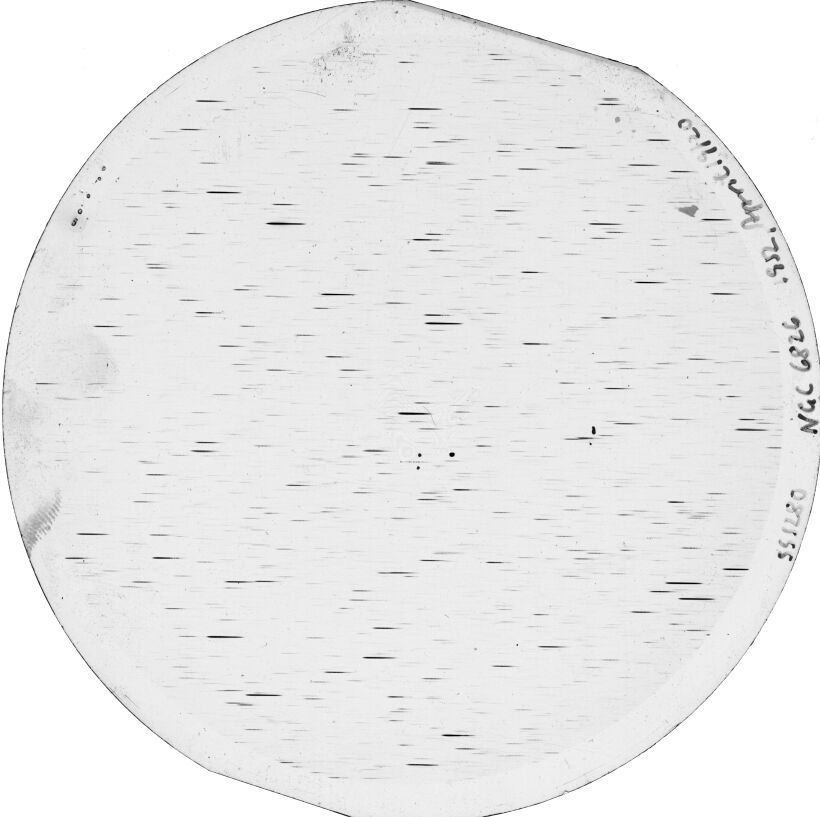 Scan SS01280