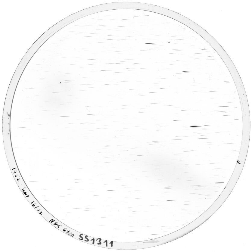 Scan SS01311