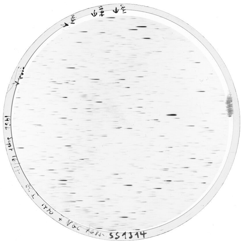 Scan SS01314
