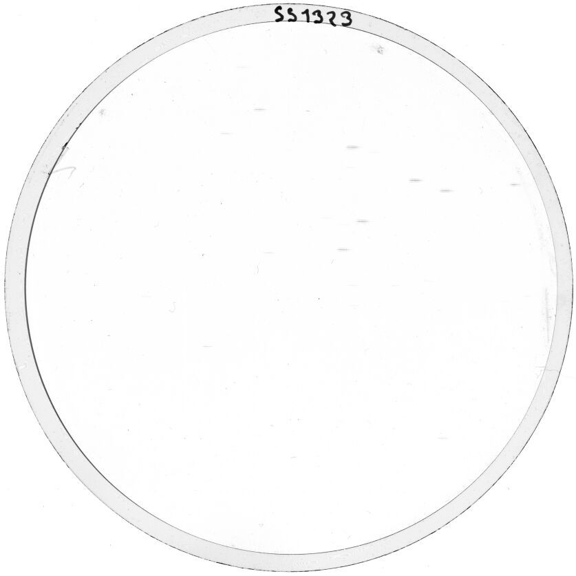 Scan SS01323