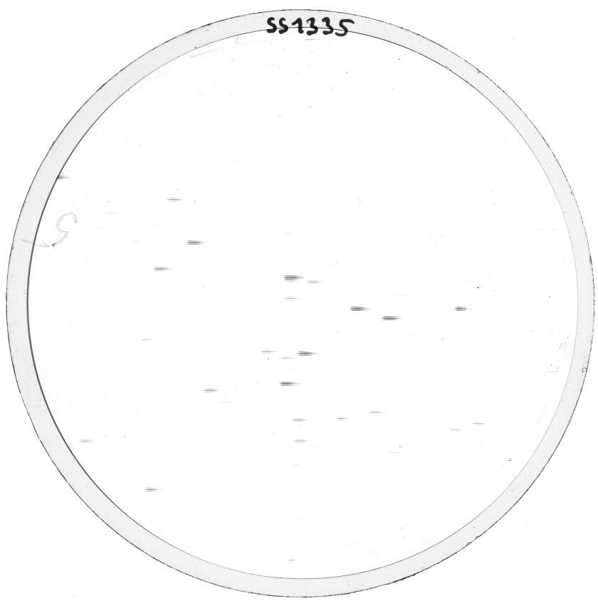 Scan SS01335