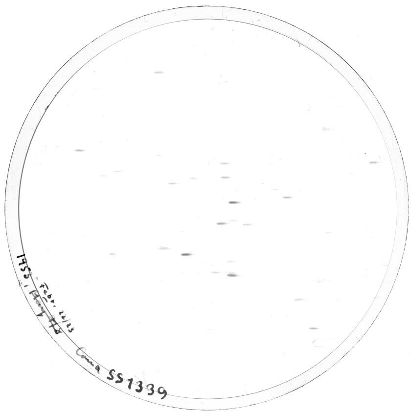 Scan SS01339