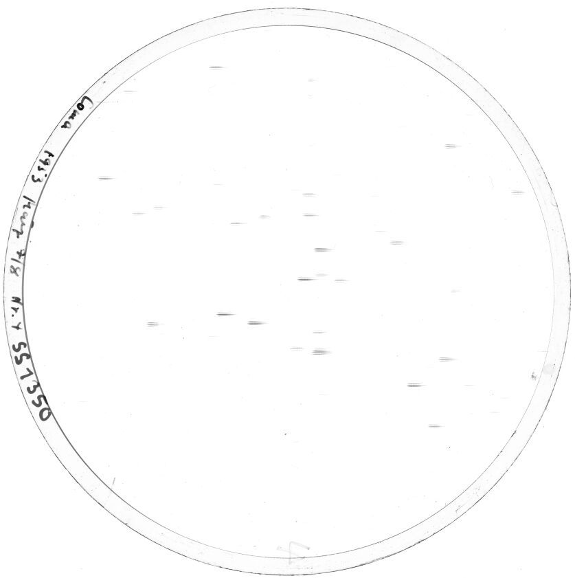 Scan SS01350