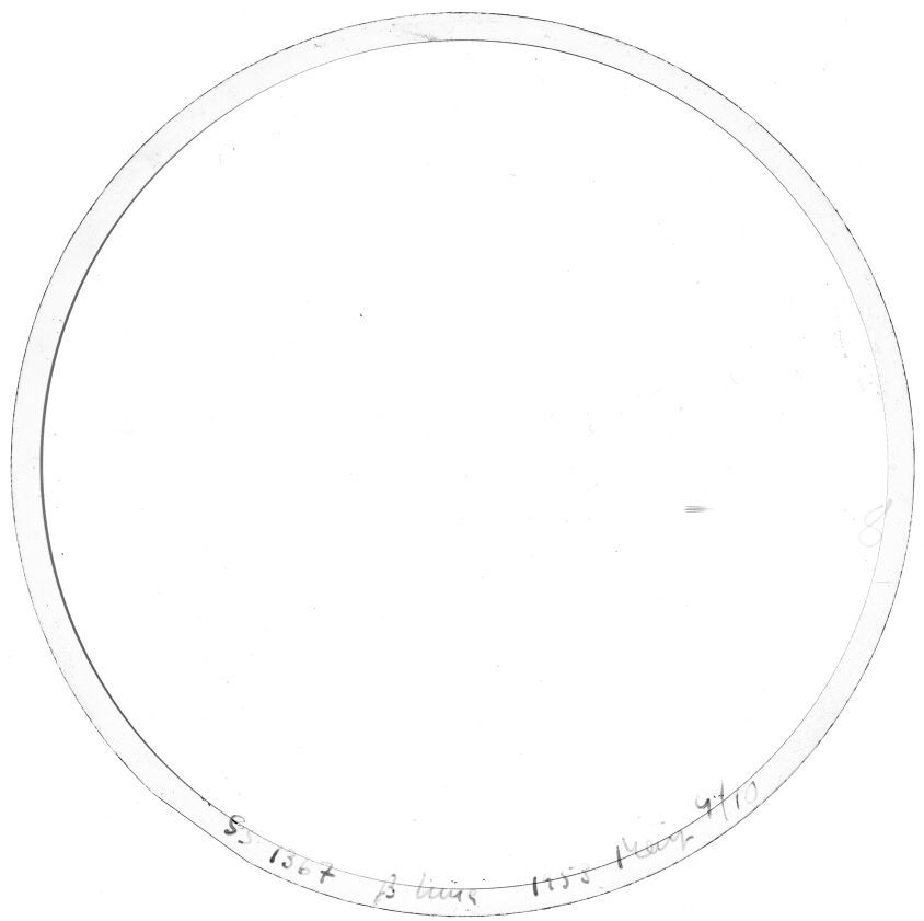 Scan SS01367