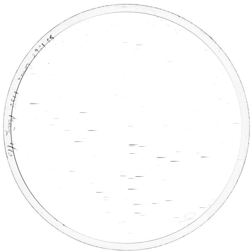 Scan SS01368
