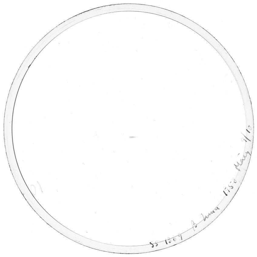 Scan SS01369