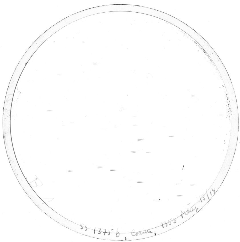Scan SS01375b