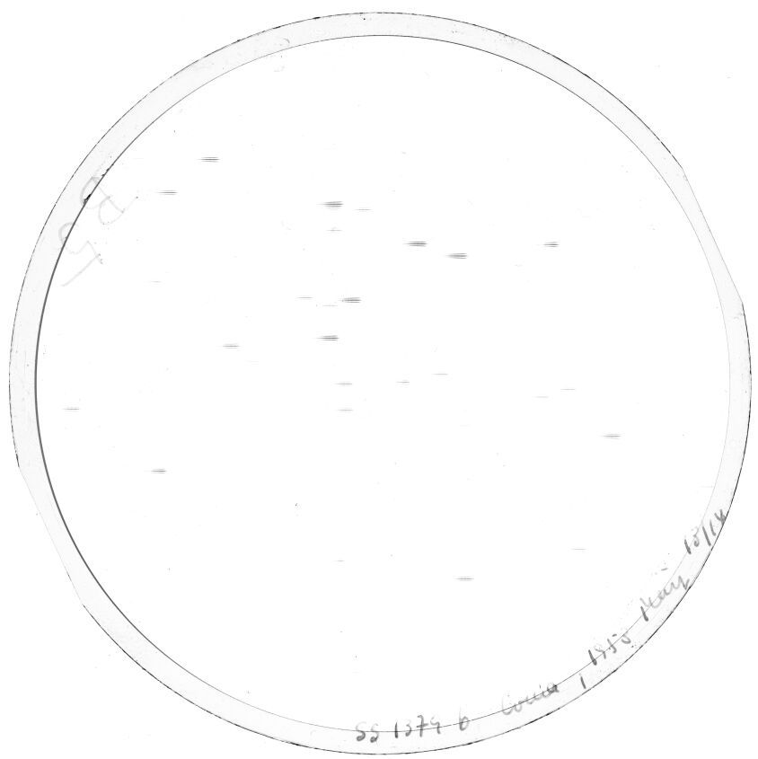Scan SS01379b
