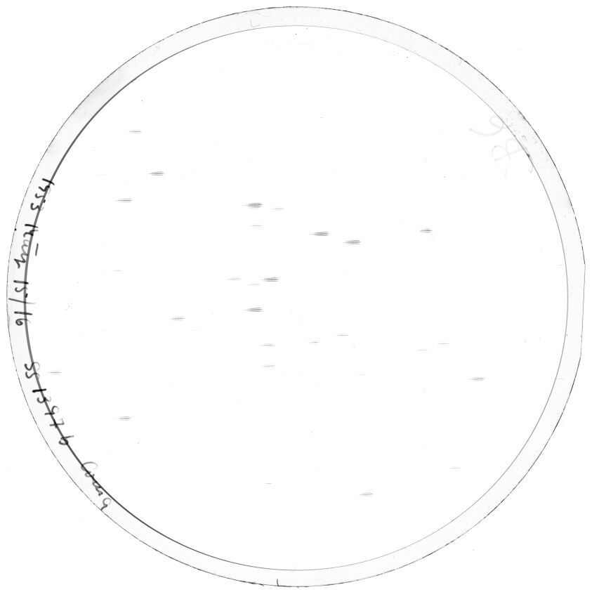 Scan SS01397b