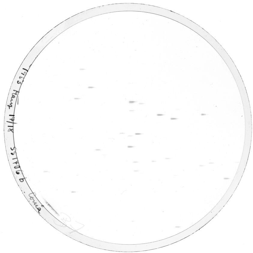Scan SS01406b