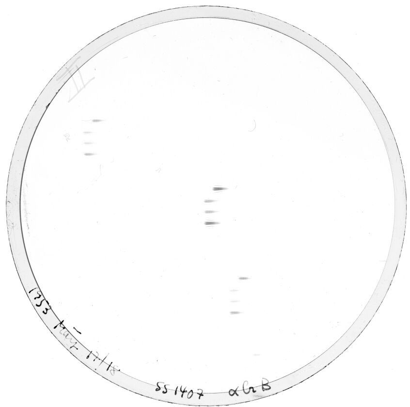 Scan SS01407