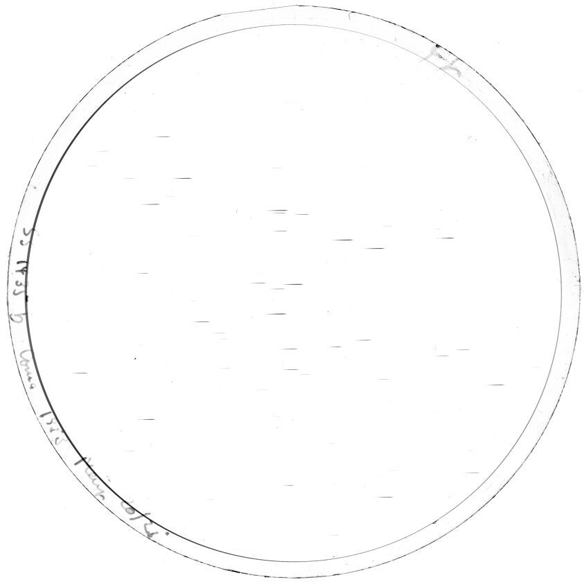 Scan SS01435b