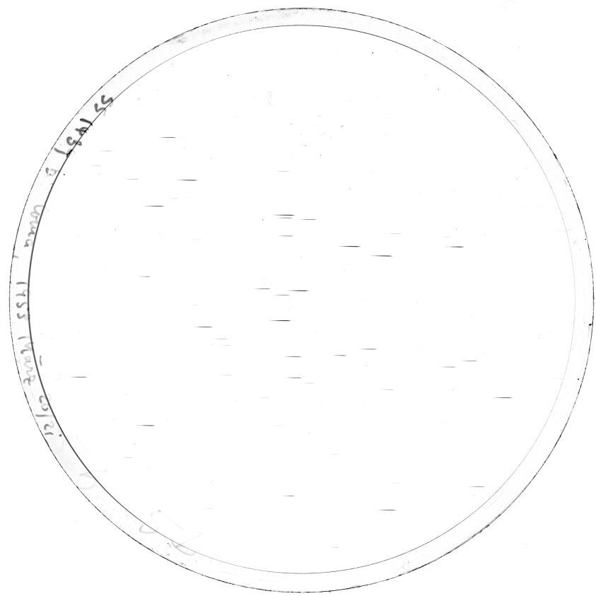 Scan SS01439b