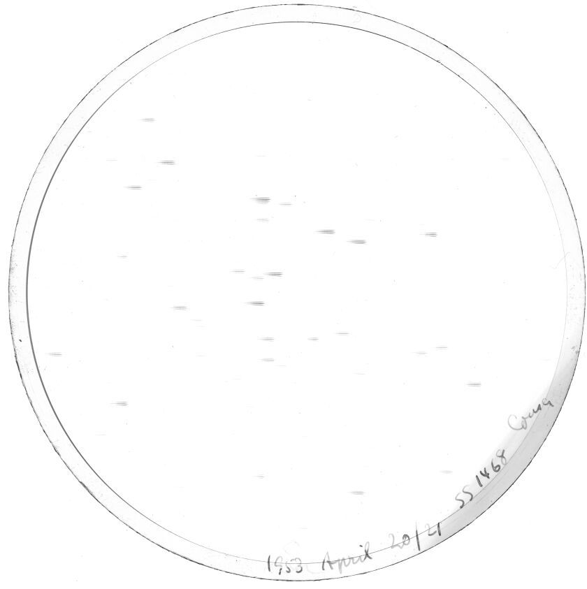 Scan SS01468