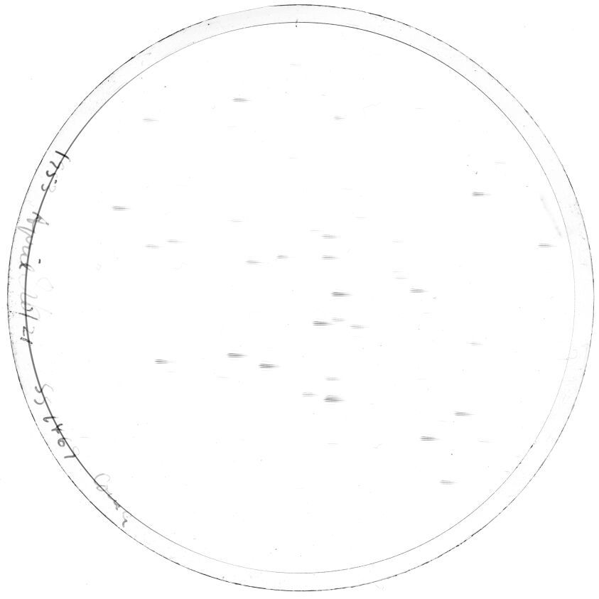 Scan SS01469