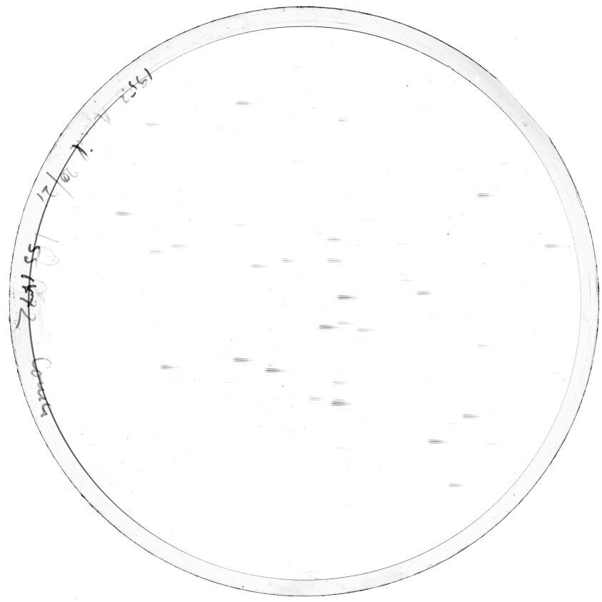 Scan SS01472