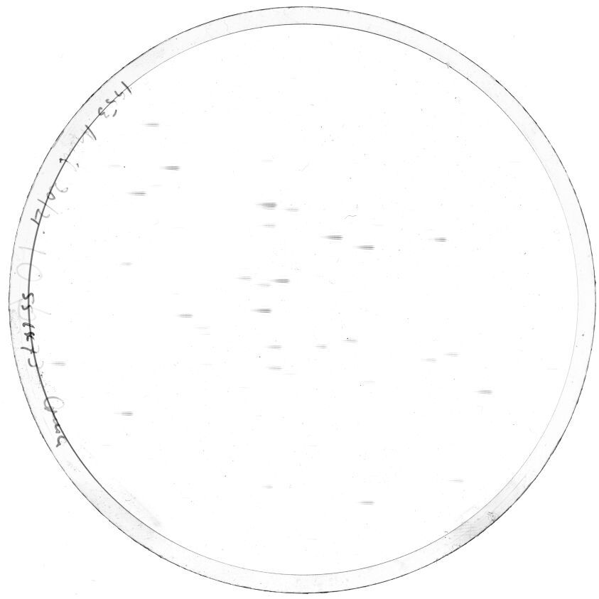 Scan SS01473